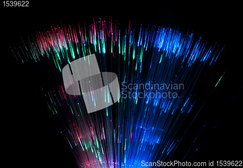 Image of Optical fibers