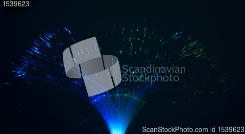 Image of Optical fibers