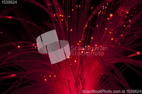 Image of Optical fibers