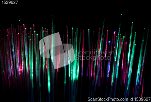 Image of Optical fibers