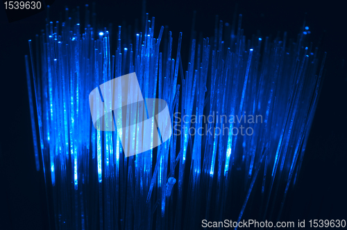 Image of Optical fibers