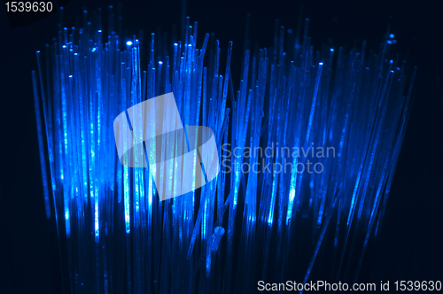 Image of Optical fibers