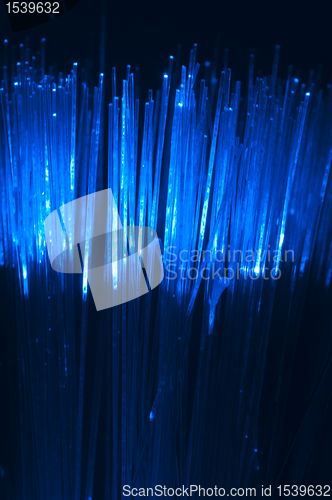 Image of Optical fibers