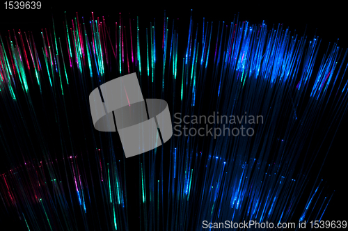 Image of Optical fibers