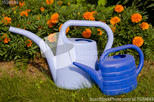 Image of Watering cans near flowers.