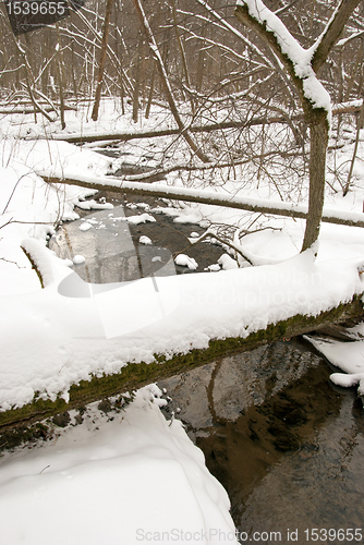 Image of Winter stream forest fallen trees coast cover snow 