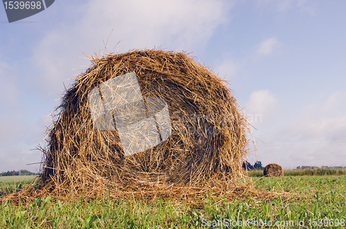 Image of Rolls of hay 