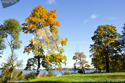 Image of Colorful trees early autumn lake backdrop blue sky 