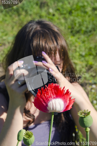 Image of Young photographer vs poppy bud.