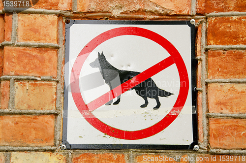 Image of No dogs.