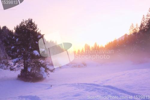 Image of mountain in winter