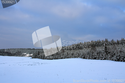 Image of Cloudy day of winter in the country