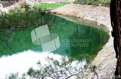 Image of The reflection green. Xyliatou. Cyprus