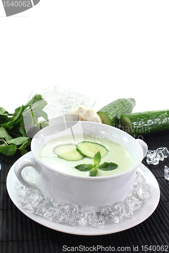 Image of iced cucumber soup with mint