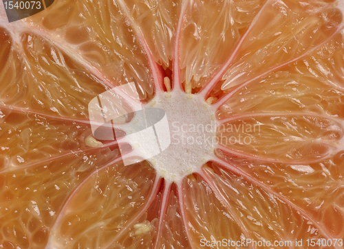 Image of Pamelo Fruit 