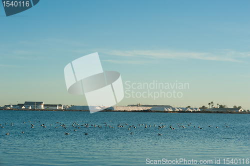 Image of Salt mine