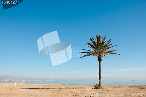 Image of Sunny beach