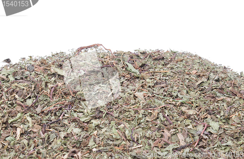 Image of Dried peppermint