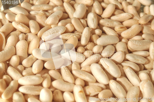 Image of Beans salad