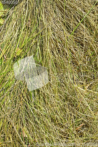 Image of Herbal cereal texture