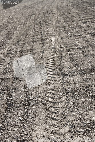 Image of Relief of tread on soil