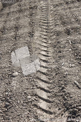 Image of Pattern on soil