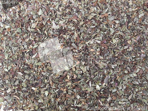 Image of Oregano spice