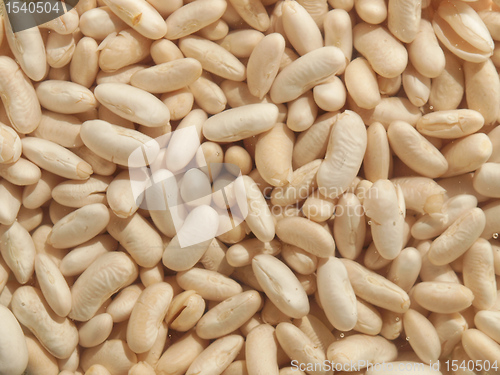 Image of Beans salad