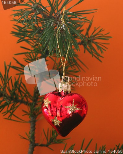 Image of heart on a tree