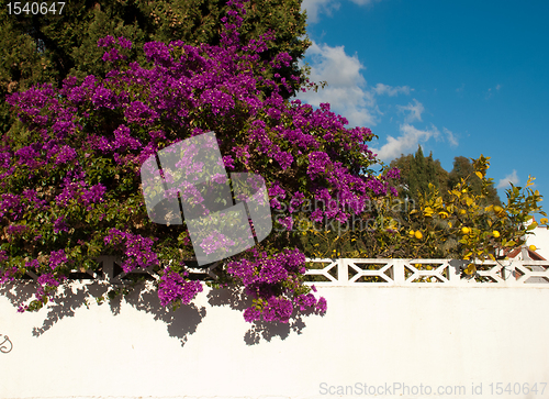 Image of Colorful wall