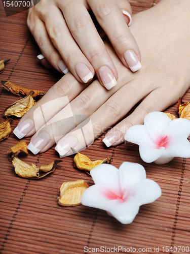 Image of French Manicure