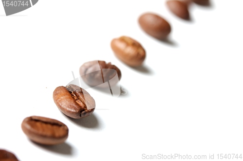 Image of coffee beans in a row