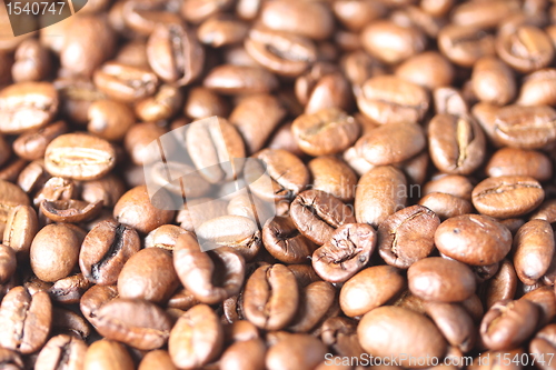 Image of light coffee beans