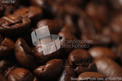 Image of coffee beans