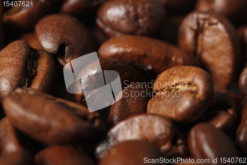 Image of coffee beans