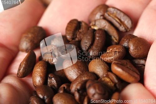 Image of coffe beans hand