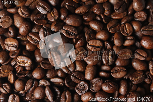 Image of coffee beans