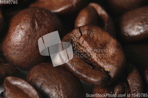Image of coffee beans
