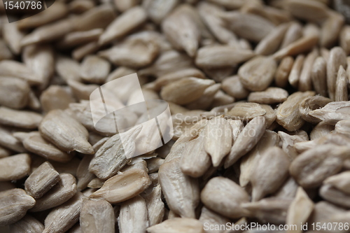 Image of sunflower seeds