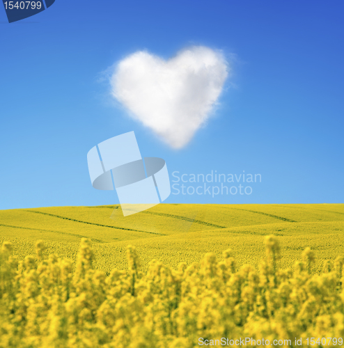 Image of 	Oilseed and a heart shaped cloud