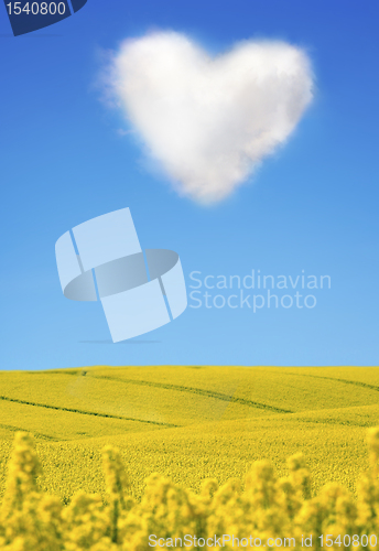 Image of 	Oilseed and a heart shaped cloud