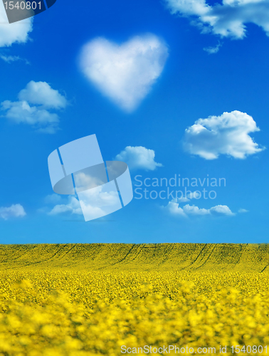 Image of 	Oilseed and a heart shaped cloud