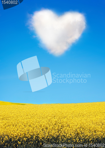 Image of 	Oilseed and a heart shaped cloud