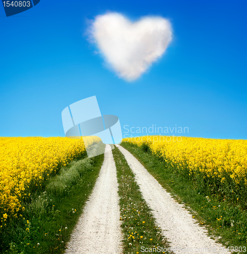 Image of Oilseed and a heart shaped cloud