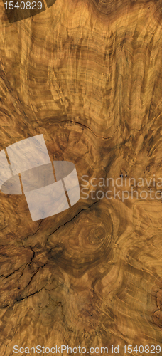 Image of burl wood background