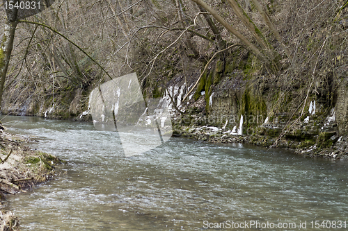 Image of Riverbank