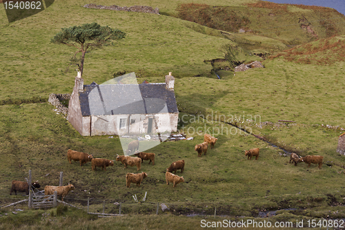 Image of old abandoned house in north scotland