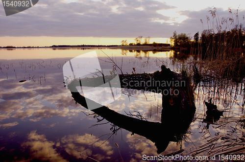 Image of Beaver chew tree fallen in lake water reflection 