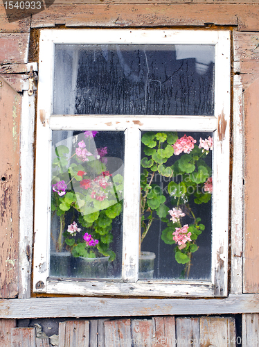 Image of wooden farm house fog window flower windowsill 