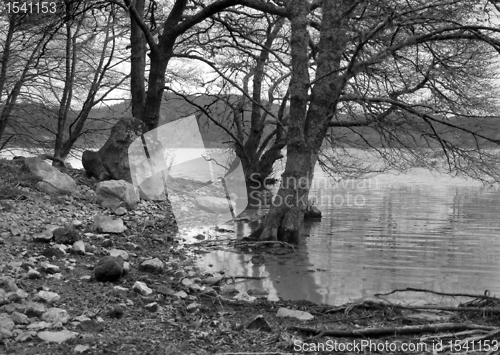 Image of lakeside scenery